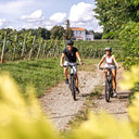 Fietshandschoenen Zomer